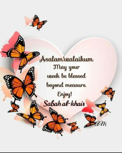Assalamu Alaikum may your day fantastic