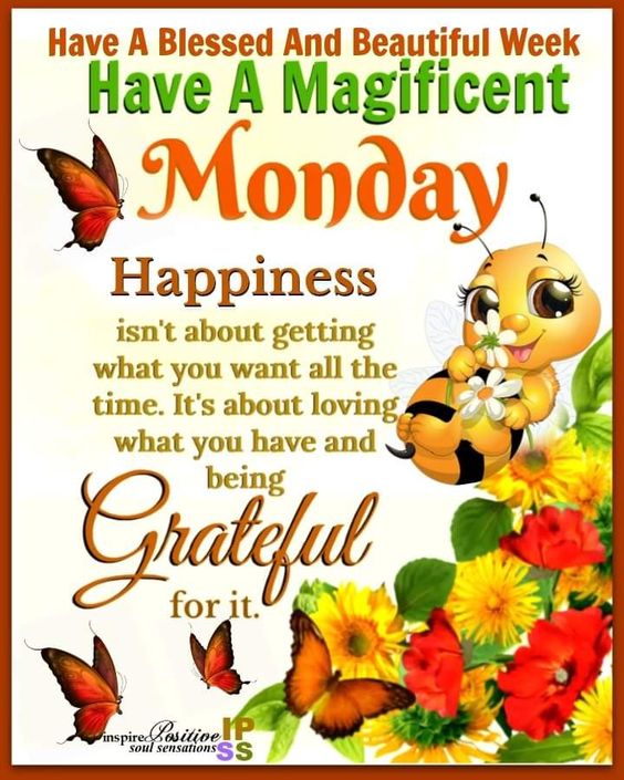 Have A magnificent Monday