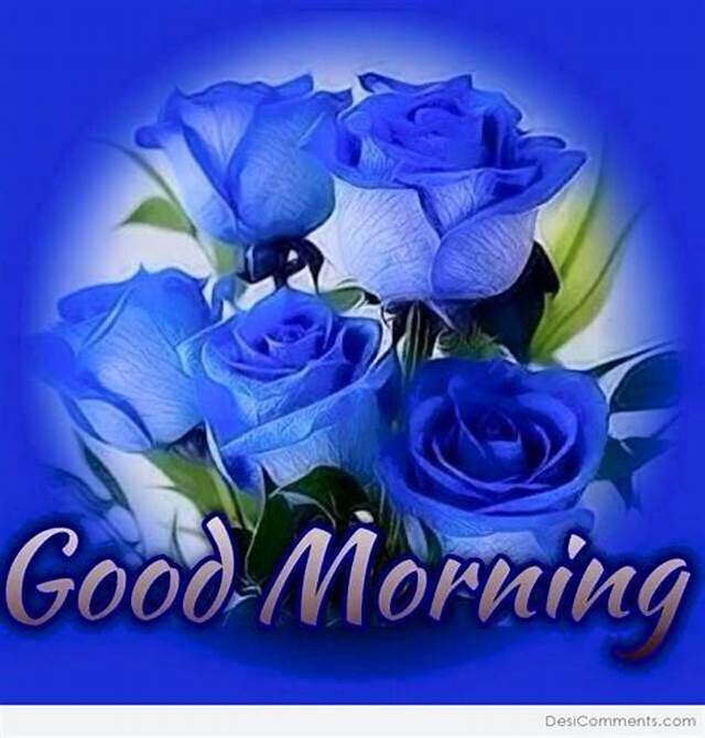 Blue Rose Greetings for Morning