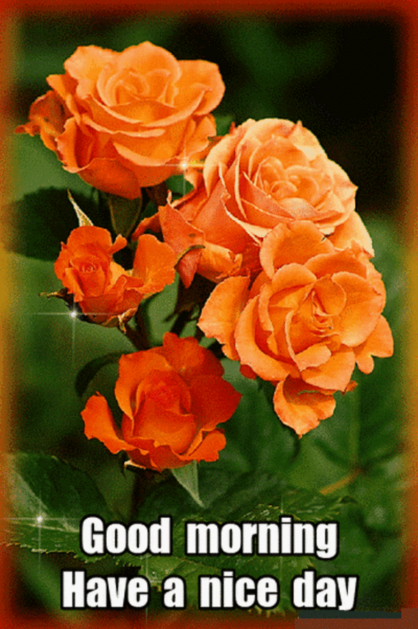 Download Morning Blessings Orange Blossoms