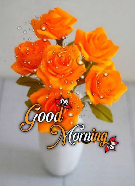 Free Download Morning Greetings Orange Blossoms