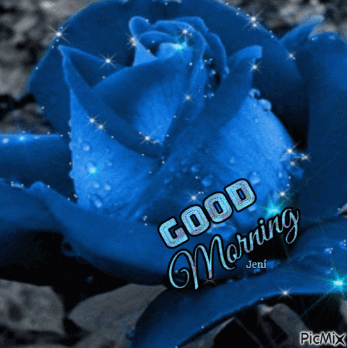Good Morning Blue rose