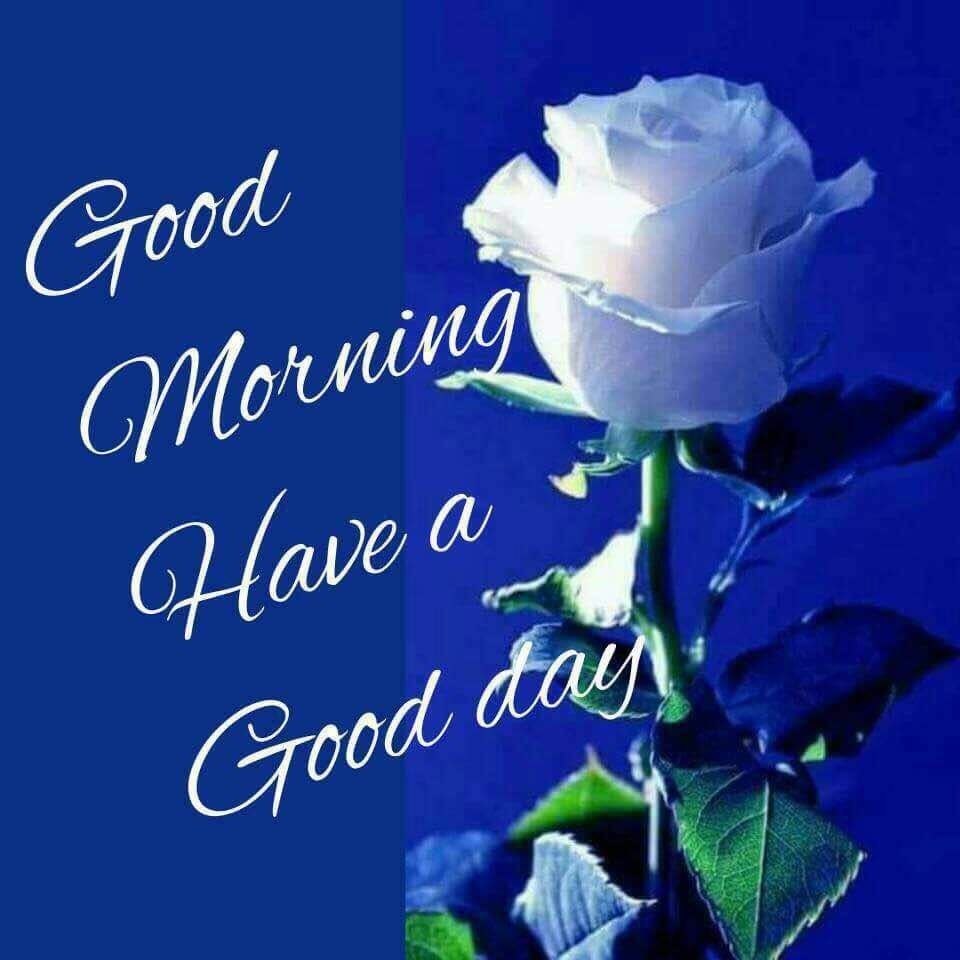 Good Morning Images with Blue Roses Have a nice day