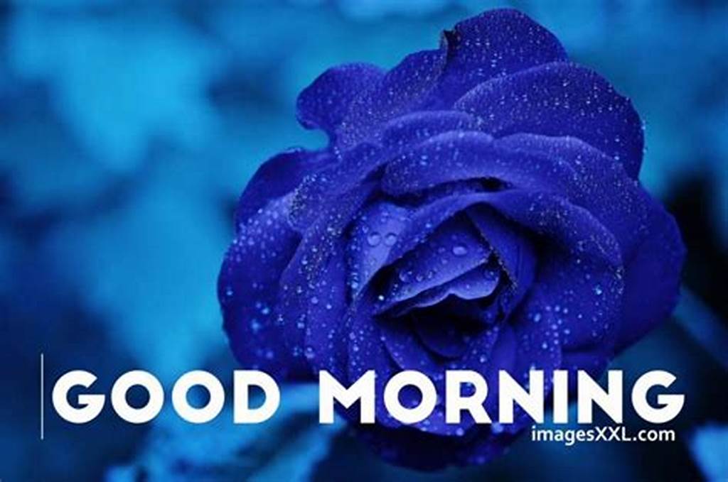 Good Morning Images with Blue Roses