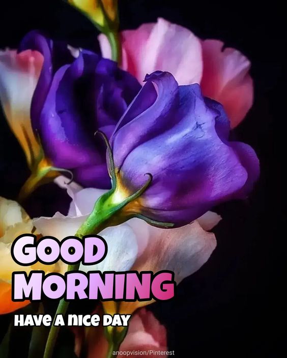Good Morning Purple Flowers Image for whatsapp dp