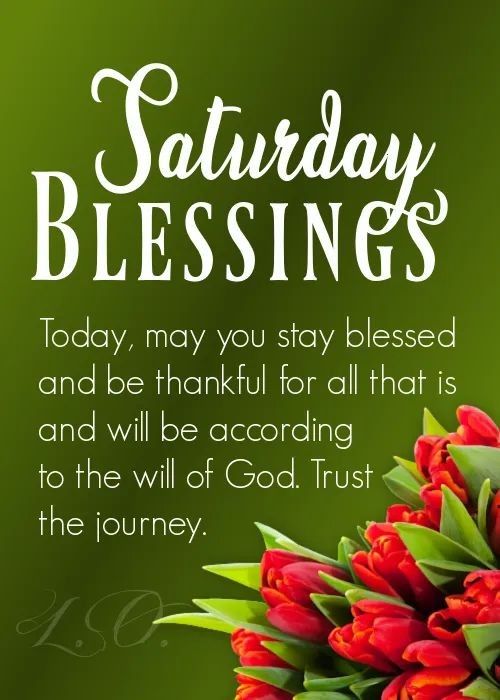 Good morning Saturday Blessings pictures