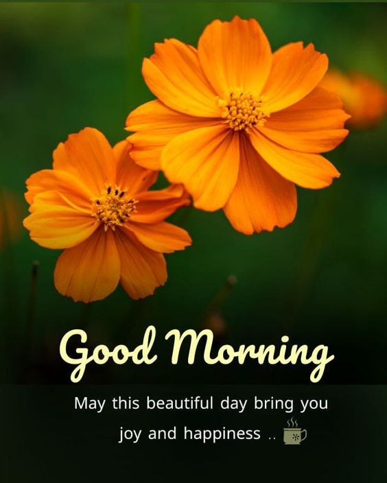 Morning Greetings with Fresh Orange Blooms