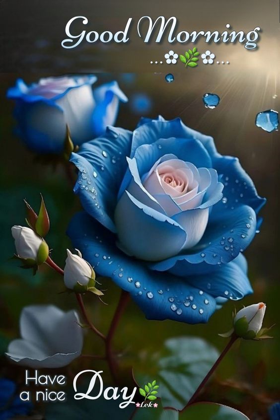 beautiful morning filled with happiness and blue roses
