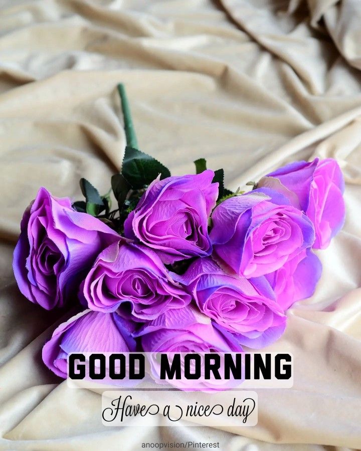 good morning have a nice day purple bouqet