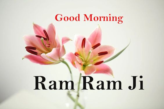Ram ram jo flower image