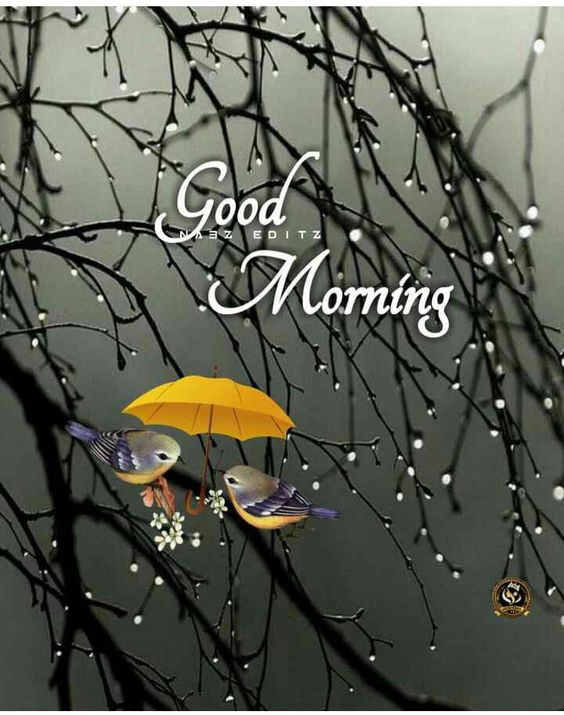 Rainy Day Good Morning Images (12)