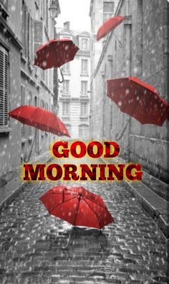 Rainy Day Good Morning Images (3)
