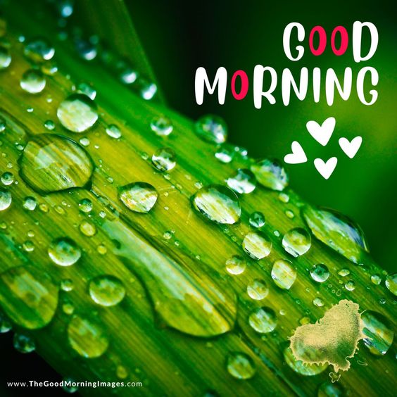 Rainy Day Good Morning Images (8)