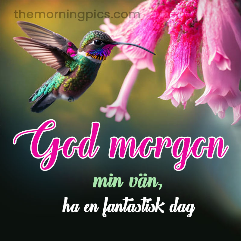 have a fabulous day in swedish