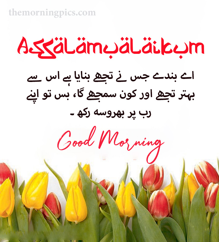 Asalamualaikum beautiful morning flower picture with urdu message