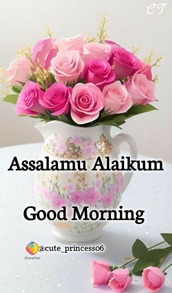 Assalamu alaikum Good Morning