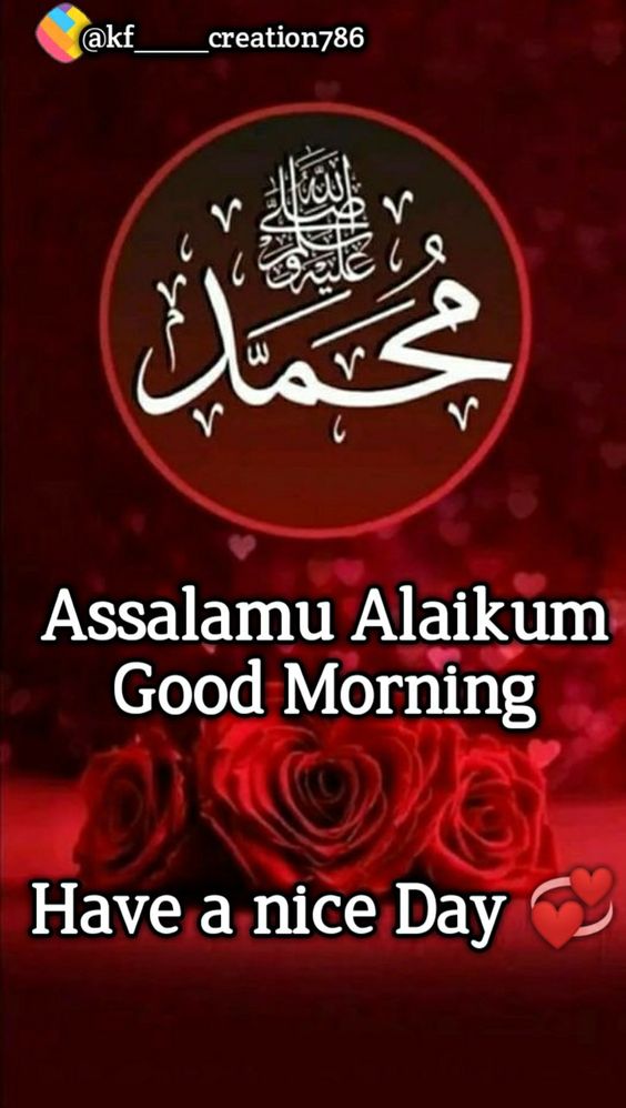 Assalamu alaikum Have a Nice Day
