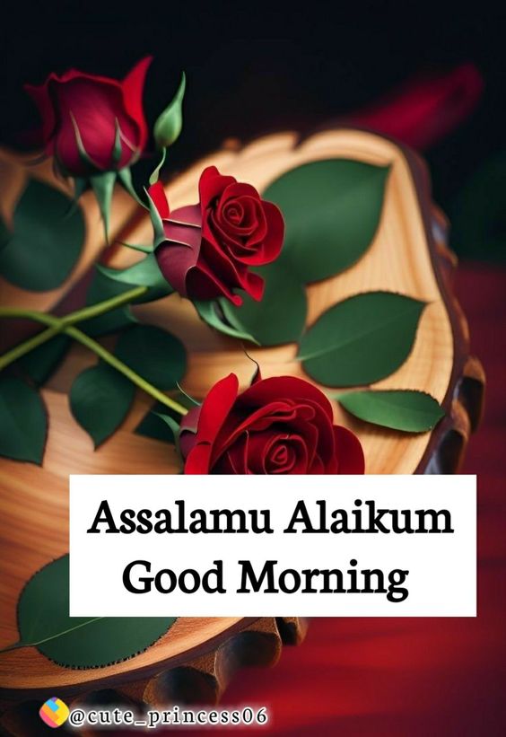 Assalamu alaikum text over the Beautiful rose