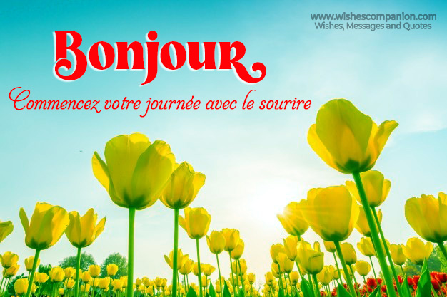 Bonjour images with yellow flowers
