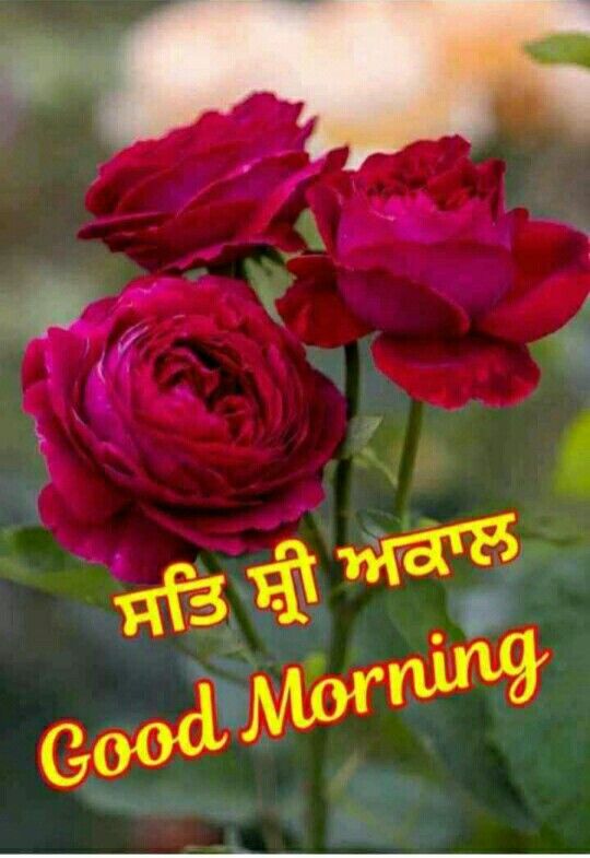 Good Morning Sat Sri Akal Quotes