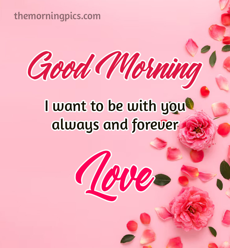Romantic Good Morning Rose Images for Lover