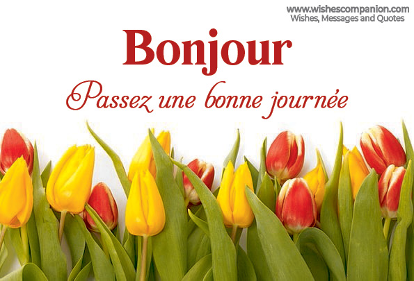 good morning Greeting in french language flower pic