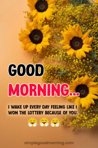 Free Download Sunflower Morning Pics