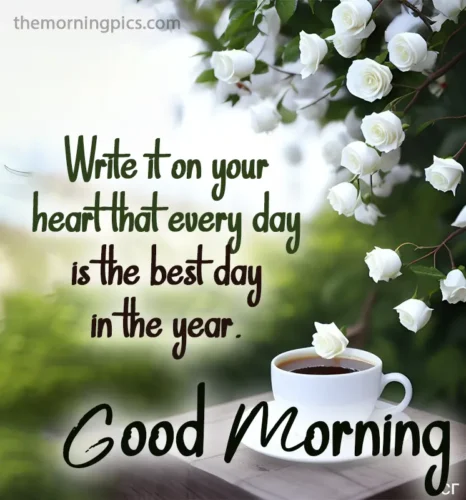 Good Morning Message with Beautiful White Flower