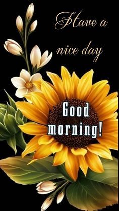 Good Morning Sunflower Images Free Download (10)