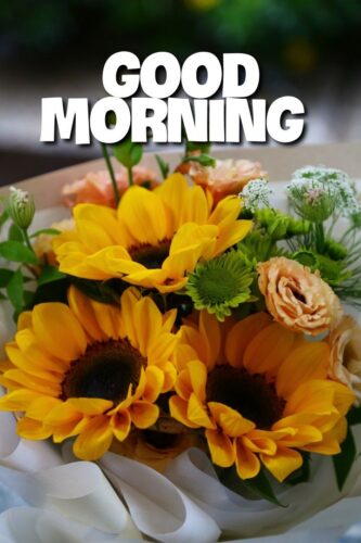 Good Morning Sunflower Images Free Download (3)