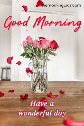 HD good morning rose pictures