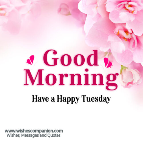 Happy Tuesday images 3