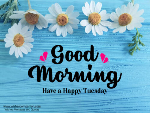 Happy Tuesday images 4