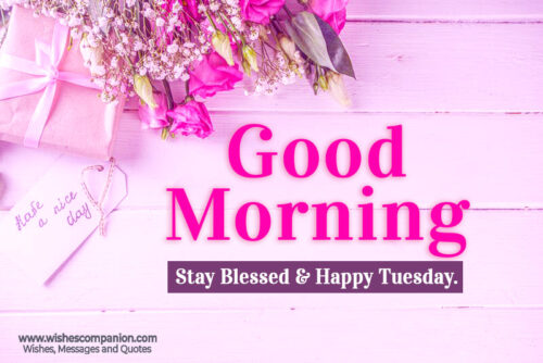 Happy Tuesday images 5
