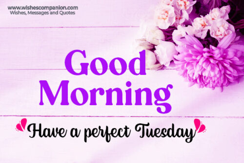 Happy Tuesday images 7