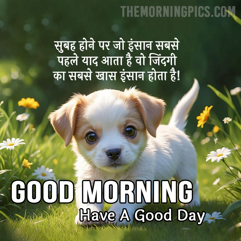 Puppy Good Morning Hindi Wishes