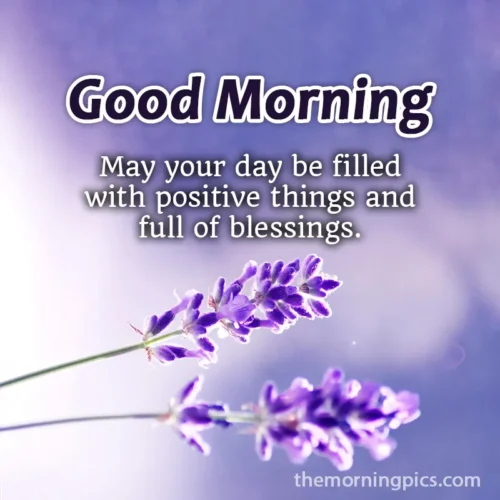 good Morning wishes with lavender
