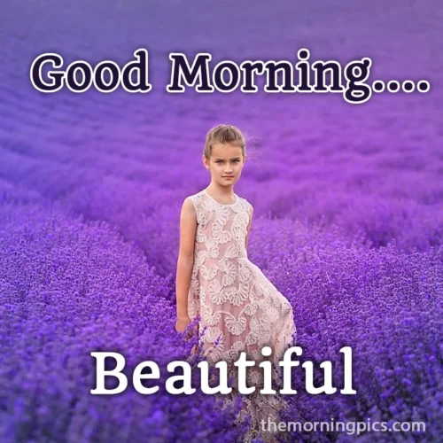 good morning beautiful lavender flower pic