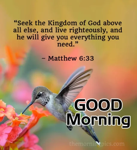 Good Morning with Bible Quotes Bird Pic