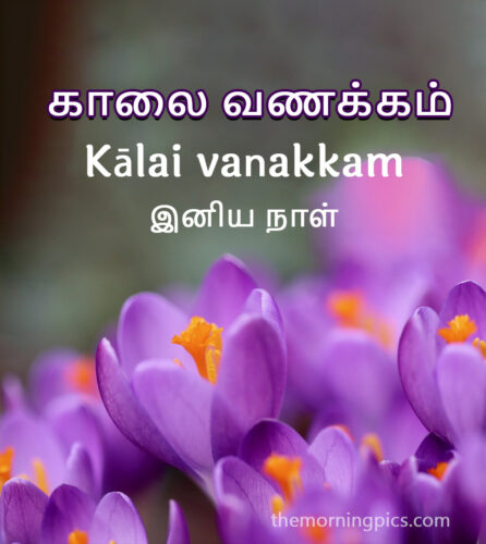 good morning in tamil