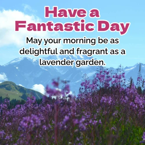 have a nice day with lavender garden have a nice day with lavender garden