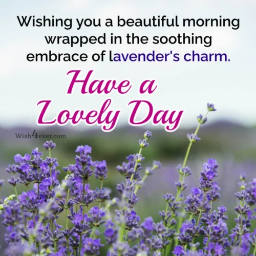 purple flower good morning quote image purple flower good morning quote image
