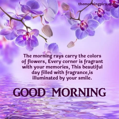 purple flower greetings for morning purple flower greetings for morning