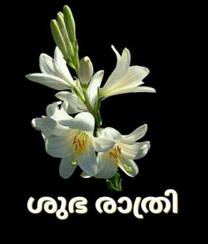 Beautiful Morning Malayalam with Jasmine flower