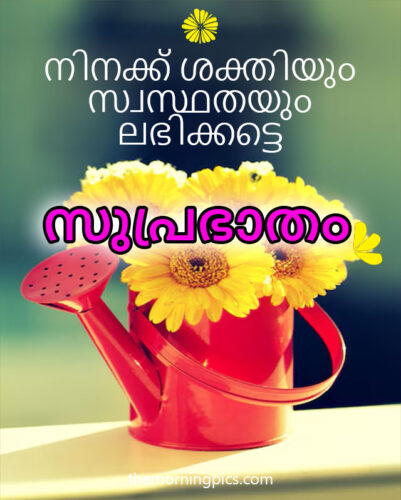 Daily Good Morning Malayalam