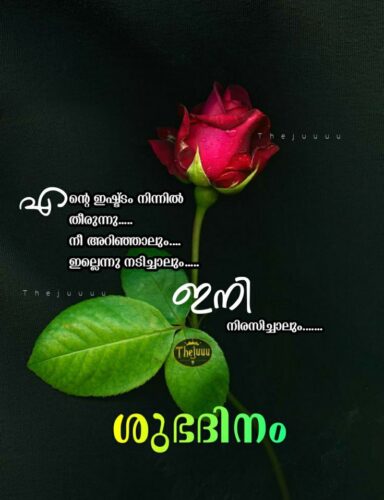 Good Morning Malayalam Pictures