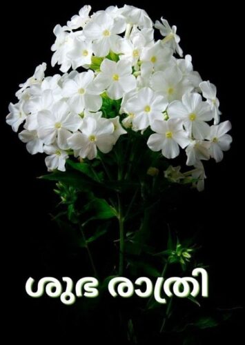 Malayalam Good Morning Pictures