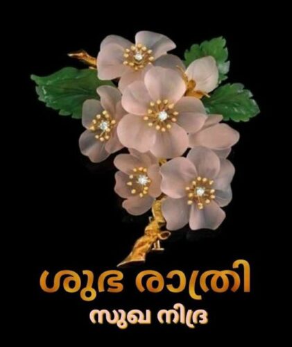 Morning Wishes in Malayalam