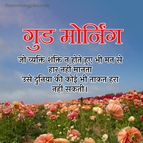 Motivational hindi quote for morning with colorful flowers