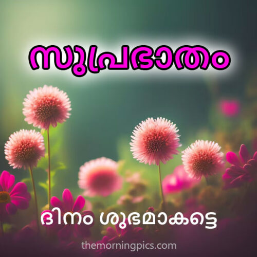 Sunrise Malayalam Greetings